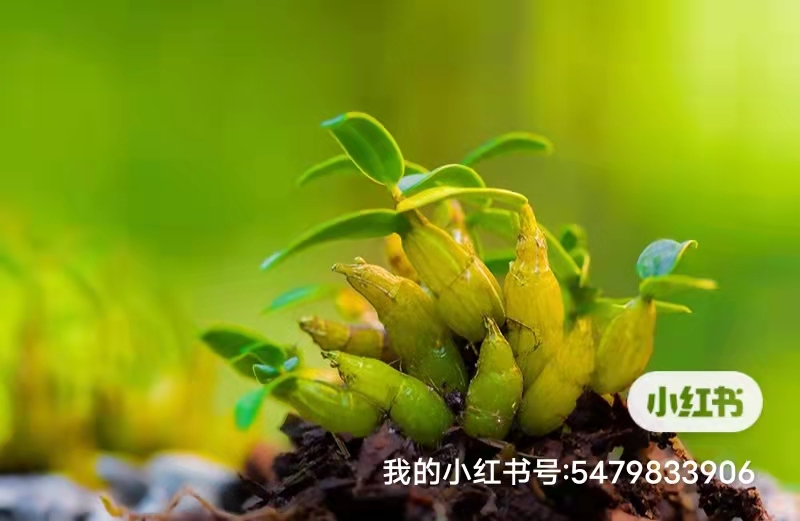 2022年12月最后一期杭州电工考试报名时间表