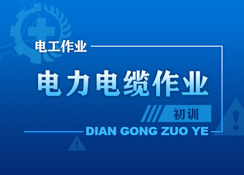 帮我生成图片：低压电工实操考试安全用具的识别与选型